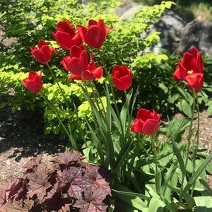 Meet your Posher, Janel